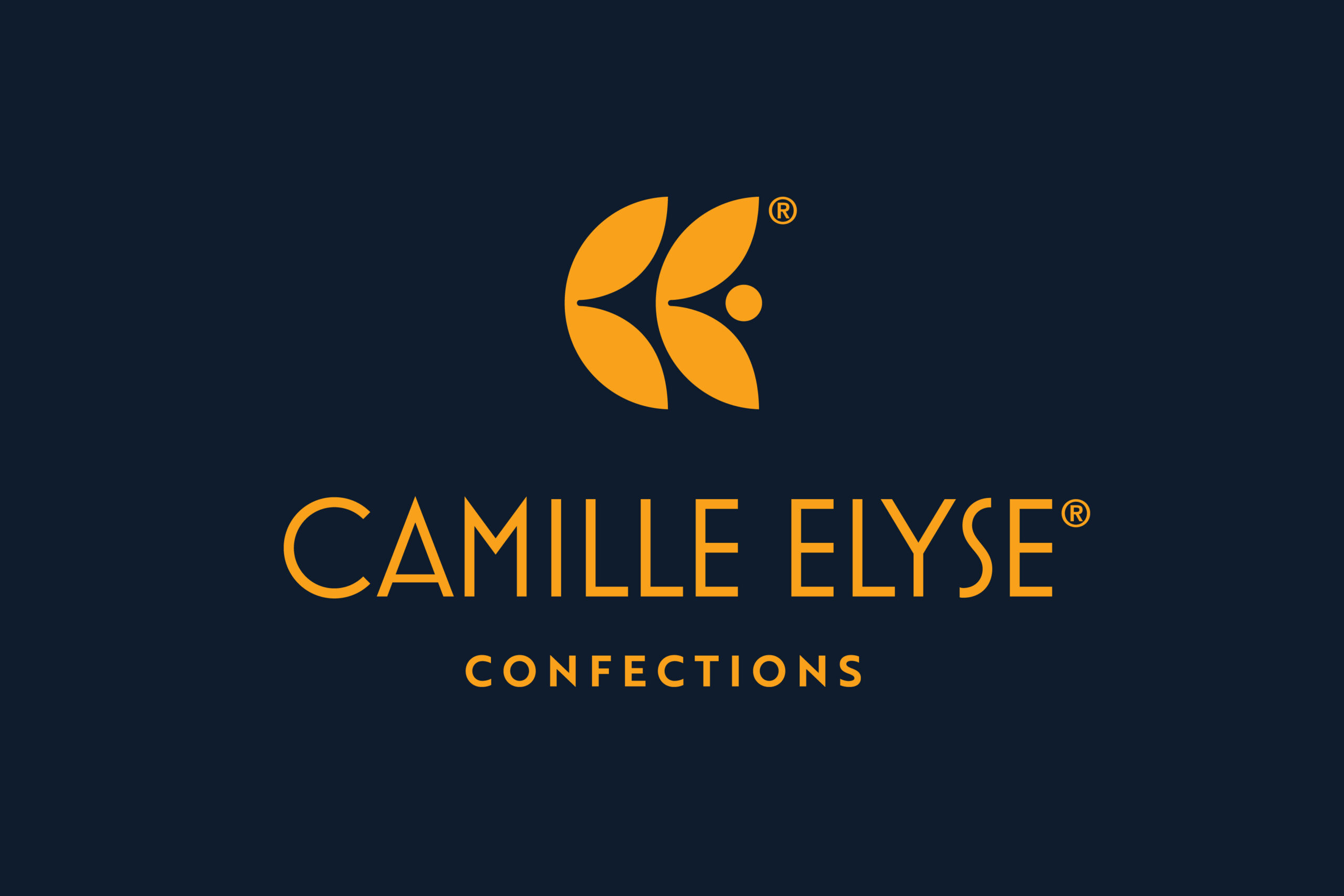 Logo design for Camille Elyse by Madonna+Child Creative Studio